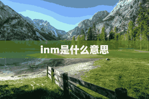 inm是什么意思(inm是什么意思梗)